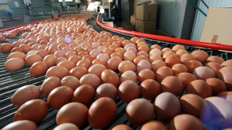 კვერცხის იმპორტი 90%-ით შემცირდა – სად და რამდენად ვყიდულობთ