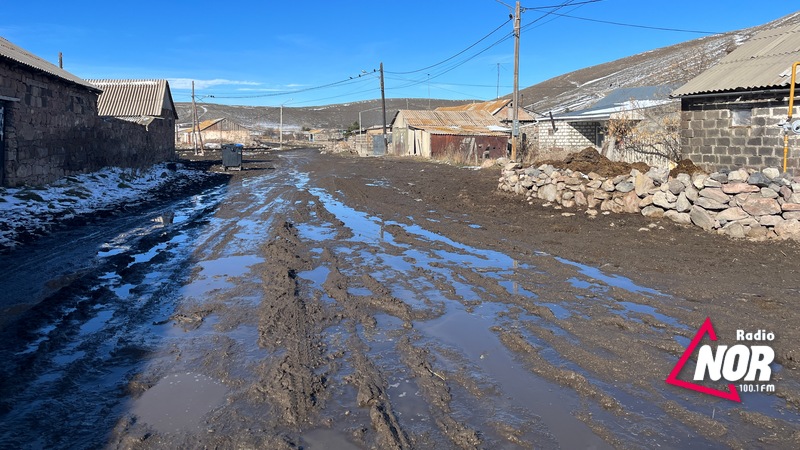 მოსახლეობა სასაფლაოზე ვერ მიდის: გაუვალი გზა თორიაში