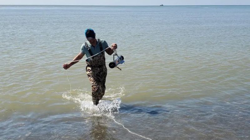 შავი ზღვის წყლის ხარისხი ნორმის ფარგლებშია – სააგენტო